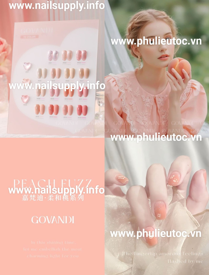 Bộ Sơn Gel Govandi G-04 (15 Chai)