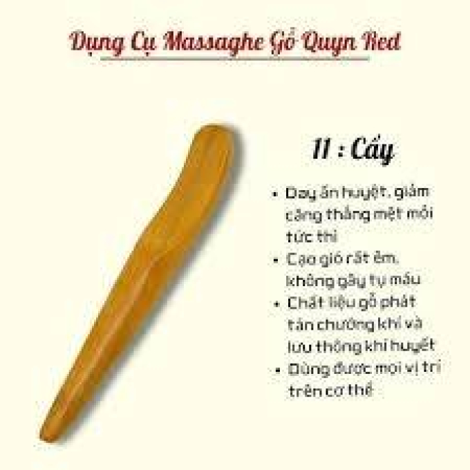 Cây Gỗ Cạo Gió