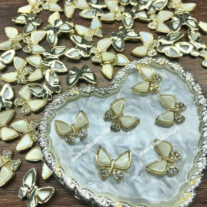 Charm Sắt 10