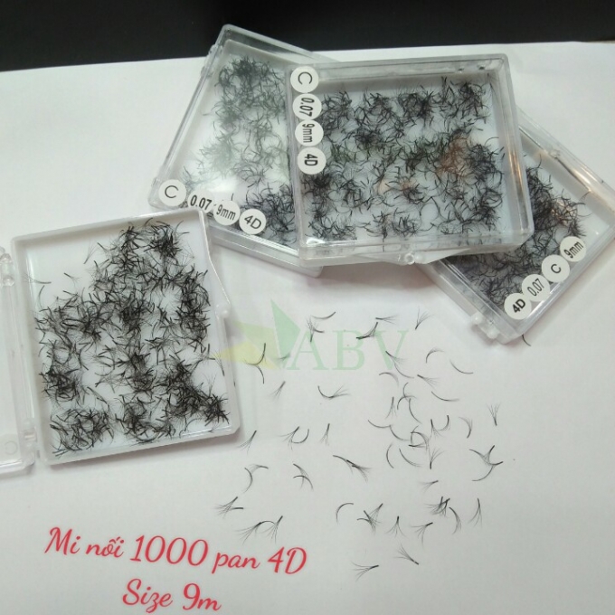Mi nối 1000 fan 4D