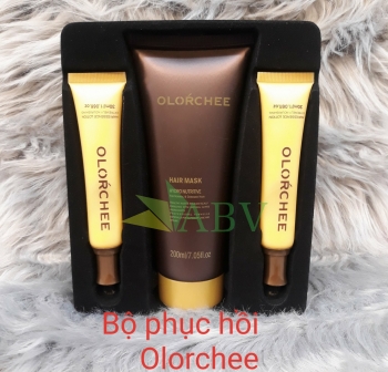Bộ phục hồi Olorchee