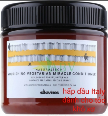 Hấp dầu tái tạo Davines 250ml