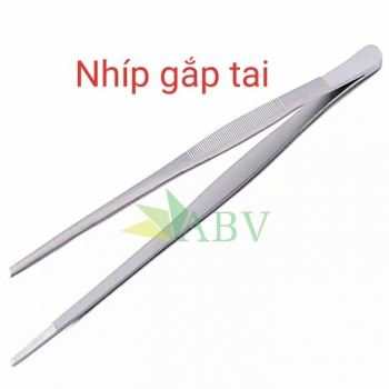 Nhíp gắp tai cong thẳng