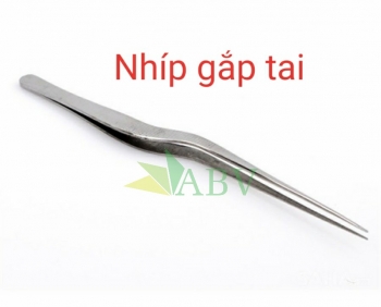 Nhíp gắp tai cong thẳng