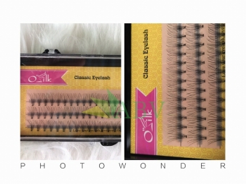 Mi nối Osilk chùm 50