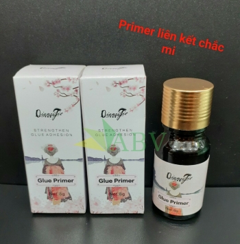 Liên kết glue primer mi