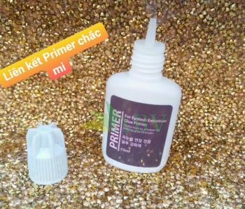 Liên kết Glue Primer mi