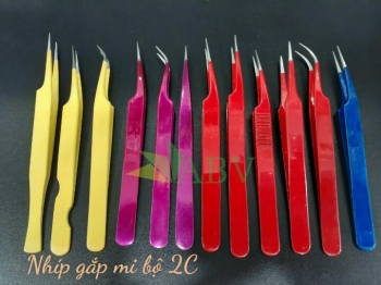 Nhíp gắp mi bộ 2C