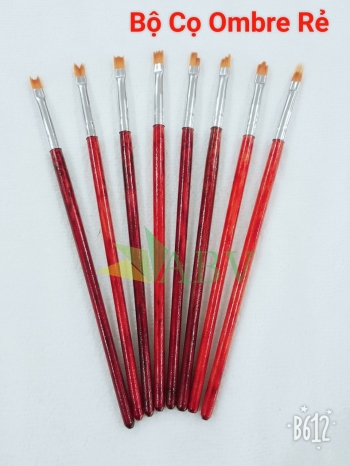 Bộ cọ cán gỗ 160