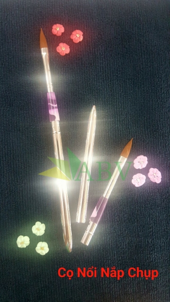 Cọ nổi đầu chụp cán si