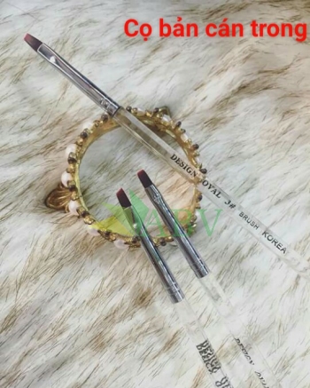 Cọ bàng cán trong