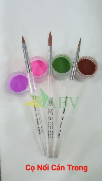 Cọ nổi cán trong 50