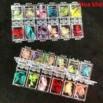 Hoa khô Yi kou (12 ô)