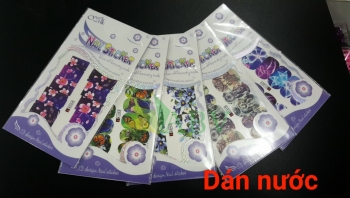 Bông Dán Nước Vĩ Nhỏ