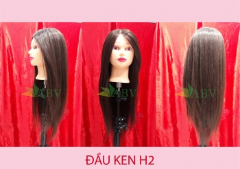 Đầu KEN H2
