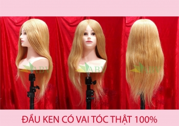 Đầu KEN có vai tóc thật 100% ( Vàng đậm)