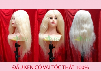 Đầu KEN có vai tóc thật 100% ( Vàng lợt)