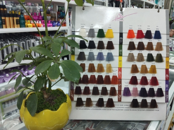 Bảng Màu Nhuộm Artist