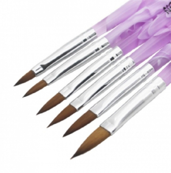 Bộ cọ nổi 6 cây 250