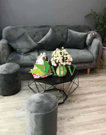 Bô  sofa  nhung ( kèm gối - đôn )