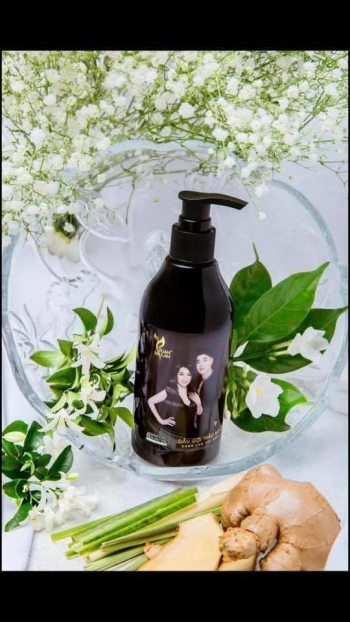 Dầu Gội Thảo Mộc Tuấn Hà Lan 250ml(Xoăn)