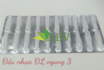 Đầu nhựa ĐL ngang 3