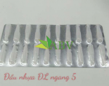 Đầu nhựa ĐL ngang 5
