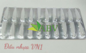 Đầu nhựa thần thánh VN 1