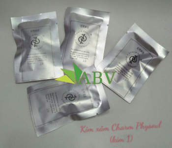 Kim xăm   CHARM  PHYSOUL kim 1