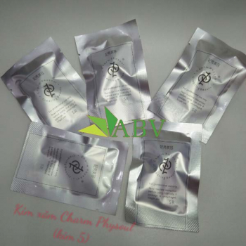 Kim xăm   CHARM  PHYSOUL kim 5