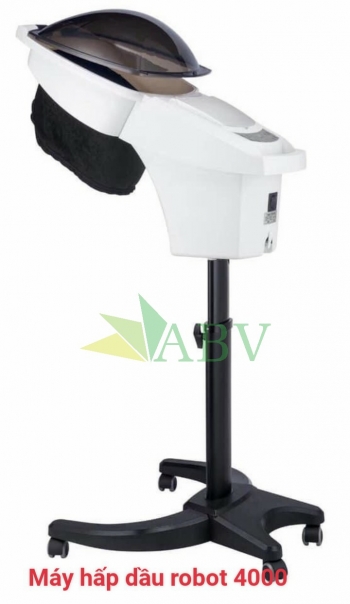 Máy hấp Ozon robot 4000