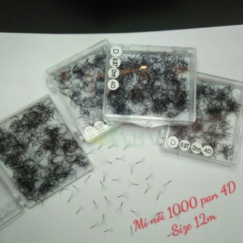 Mi nối 1000 fan 4D