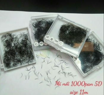 Mi nối 1000 fan 5D