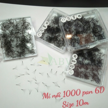Mi nối 1000 fan 6D