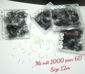 Mi nối 1000 fan 6D