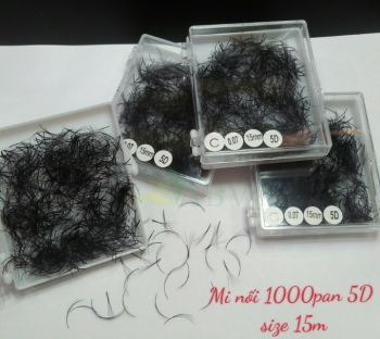 Mi nối 1000 fan 5D