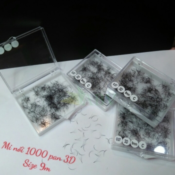 Mi nối 3D 1000 fan