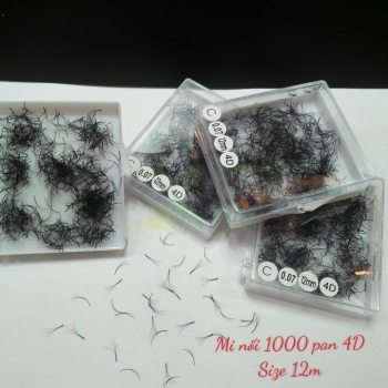 Mi nối 1000 fan 4D
