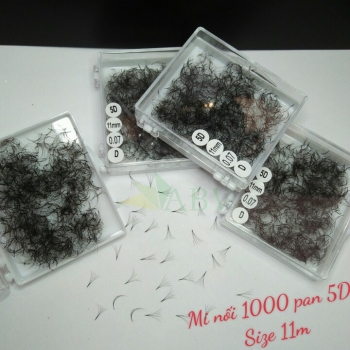 Mi nối 1000 fan 5D