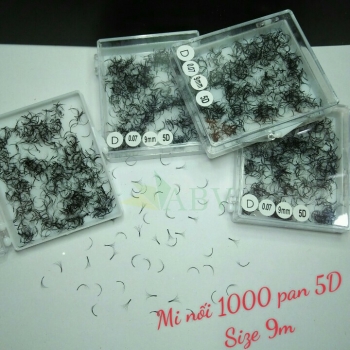 Mi nối 1000 fan 5D