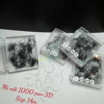 Mi nối 3D 1000 fan