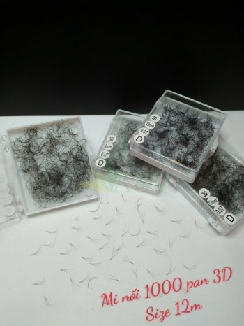 Mi nối 3D 1000 fan