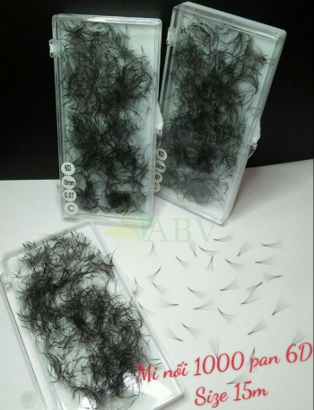 Mi nối 1000 fan 6D