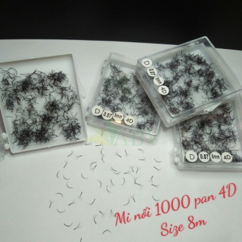 Mi nối 1000 fan 4D