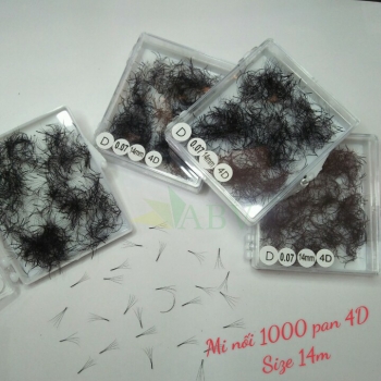 Mi nối 1000 fan 4D