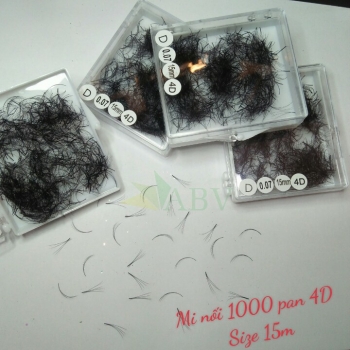 Mi nối 1000 fan 4D