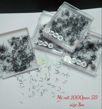 Mi nối 1000 fan 5D