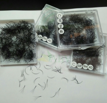 Mi nối 1000 fan 4D