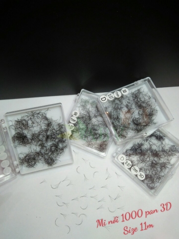 Mi nối 3D 1000 fan