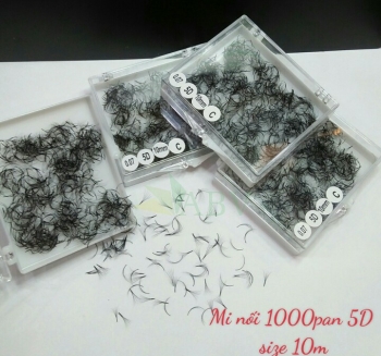 Mi nối 1000 fan 5D